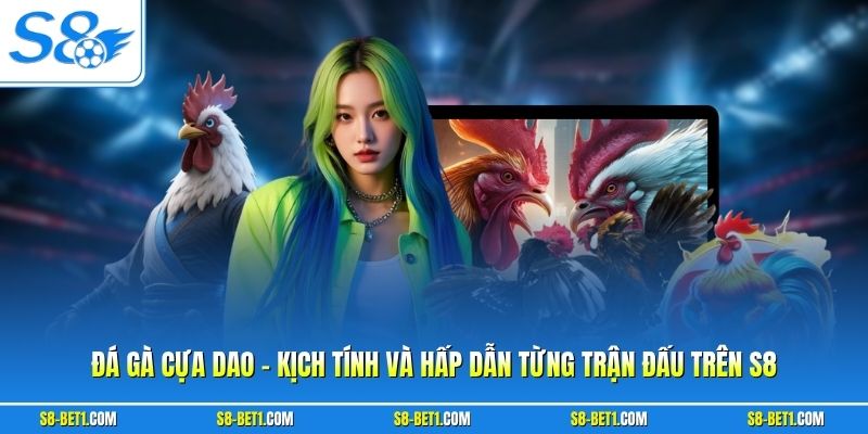 Đá Gà Cựa Dao - Kịch Tính Và Hấp Dẫn Từng Trận Đấu Trên S8